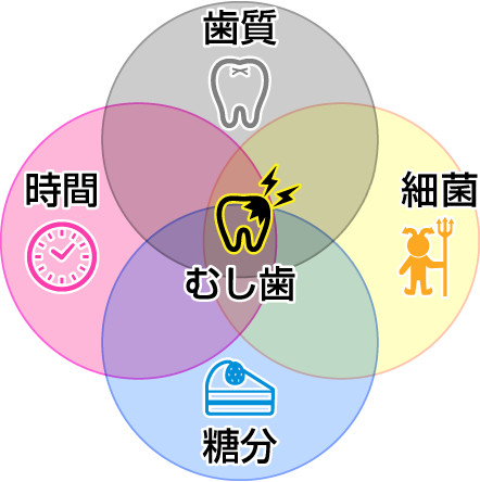 むし歯はどうしてできるのか